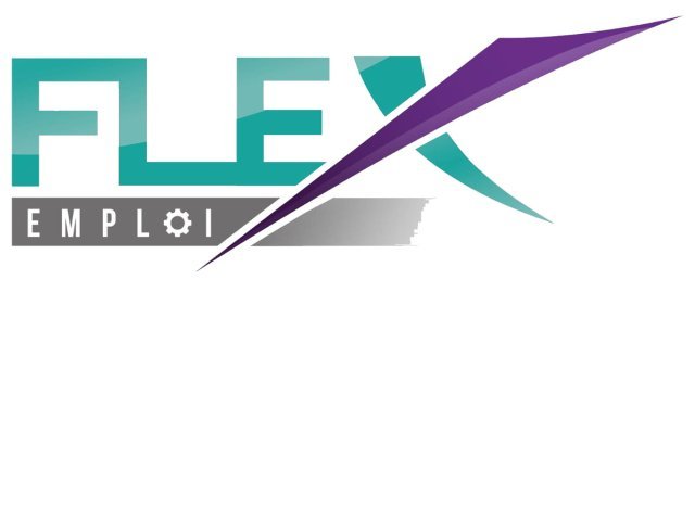 Flex emploi Chalon 71